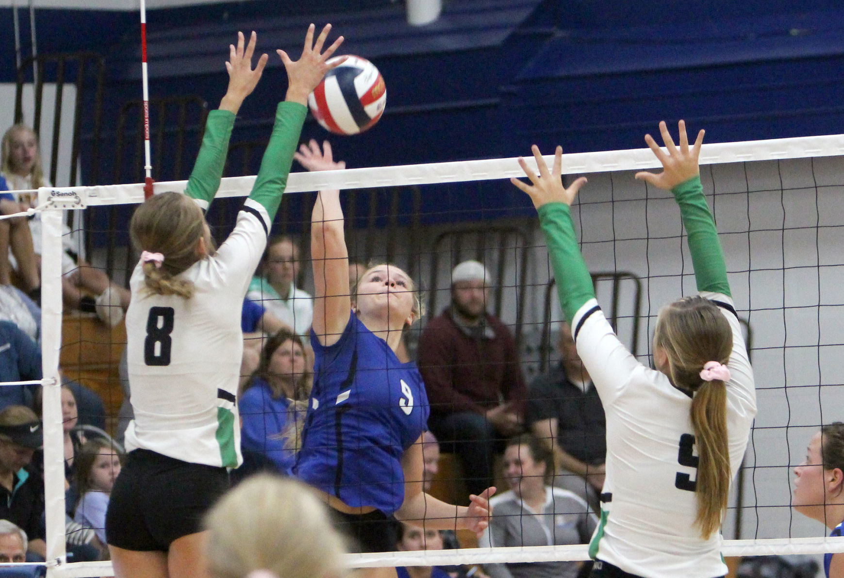Eau Claire Regis at McDonell volleyball 9-12-19